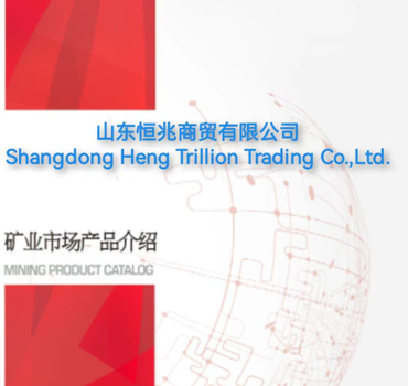 山东恒兆商贸有限公司